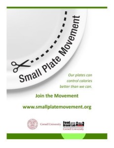 spm_poster_small